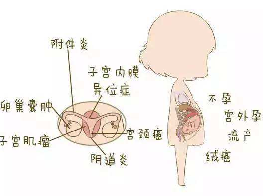 阴道分泌物黄瓜视频成人A片免费观看分析阴道炎早期症状