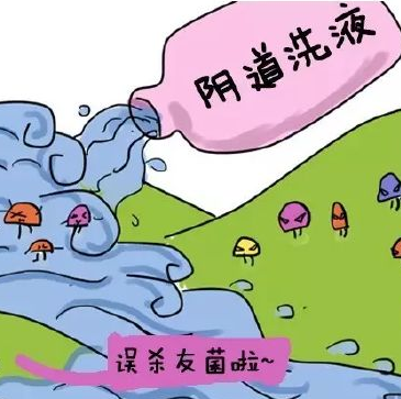 阴道分泌物黄瓜视频成人A片免费观看提醒哪些信号女性应该进行阴道清洁度检查