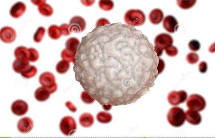 白带黄瓜视频成人A片免费观看生产厂家提醒白带常规检查白细胞