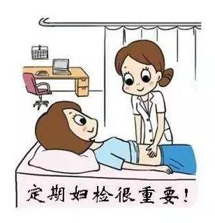全自动白带黄瓜视频成人A片免费观看提醒白带常规检查常见注意事项及检测结果显示解析