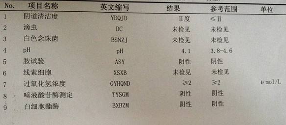 黄瓜网站免费下载GK-Y全自动阴道分泌物黄瓜视频成人A片免费观看厂家科普“白带常规”查看报告！