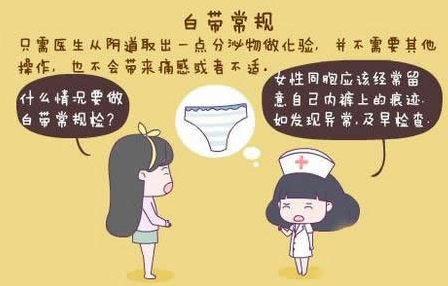 黄瓜网站免费下载GK-Y全自动阴道分泌物黄瓜视频成人A片免费观看厂家科普“白带常规”查看报告！