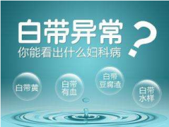 2020年山东黄瓜网站免费下载全自动【白带在线观看黄瓜视频】厂家品牌排名