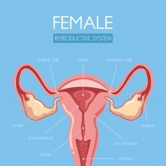 阴道分泌物黄瓜视频成人A片免费观看提醒女人婚后得了妇科病做到这5点，发炎不来扰