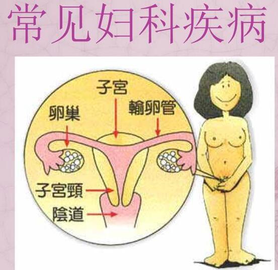 医院全自动白带在线观看黄瓜视频检测女人妇科3种症状，谨防子宫长瘤！