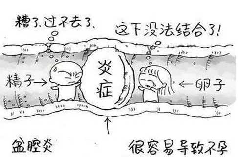全自动妇科阴道分泌物在线观看黄瓜视频检测辨别妇科炎症复杂多样！