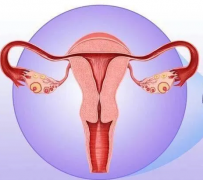 妇科阴道炎黄瓜视频成人A片免费观看器厂家提醒女性坚持泡水喝，消炎灭菌，远离妇科炎症