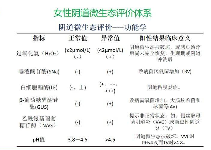 妇科微生态黄瓜视频成人A片免费观看器